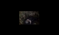 نجات معجزه‌آسای مرد ۶۵ ساله از رودخانه زرجوب رشت پس از ۷ ساعت گرفتاری