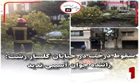 سقوط درخت در خیابان گلسار رشت: راننده آسیبی ندید