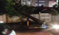 وزش باد شدید در رشت ۱۳ اصله درخت سقوط کرد 